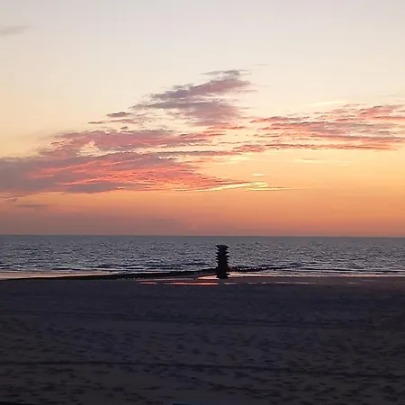 Stijlvol 'claire' Met Frontaal Zeezicht Ostenda