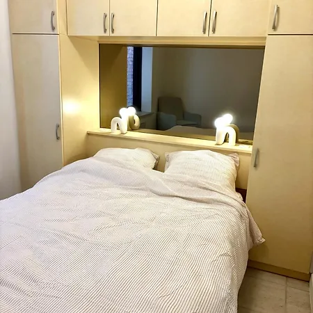 Stijlvol 'claire' Met Frontaal Zeezicht * Ostend