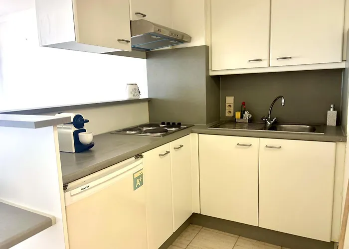 Stijlvol 'claire' Met Frontaal Zeezicht 奥斯滕德