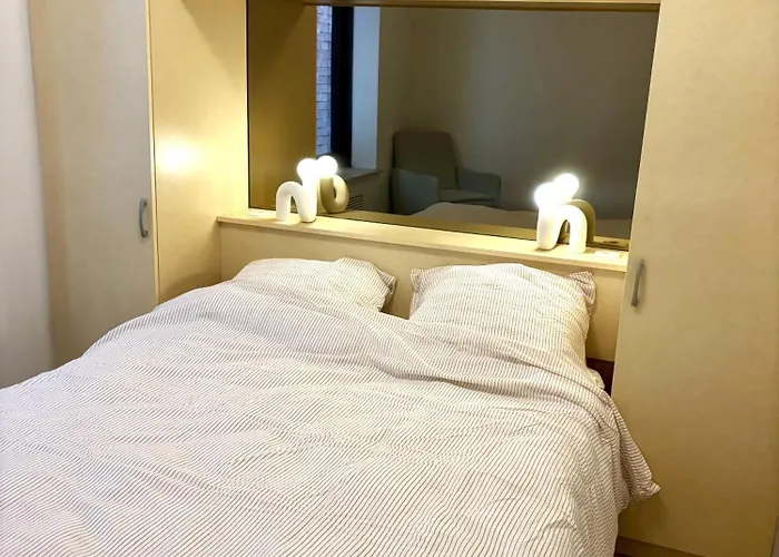 Stijlvol 'claire' Met Frontaal Zeezicht * 奥斯滕德